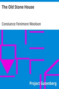 Cover of The Old Stone House — Background and Themes