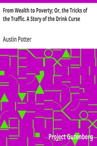 Cover of From Wealth to Poverty; Or, the ...